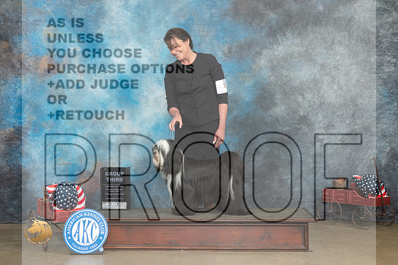 Tibetan Terrier #9 Thur G3 Judge Gary Andersen_MJ_5678_ARK2023_HR3