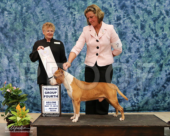 AmStaff-3280-AbiMay13HR