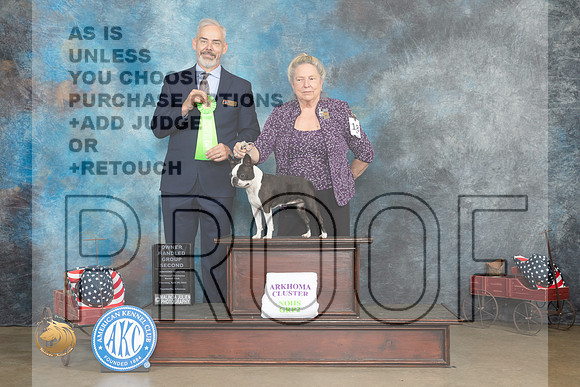 Boston Terrier #18 Thurs G3 Judge Dale Martenson_MJ_5664_ARK2023_HR3