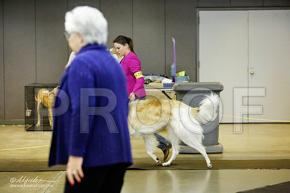 _RH_1320-BeltonJan2015IABCA-HR3