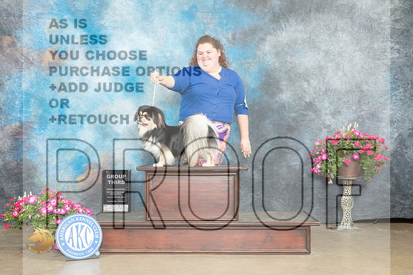 Tibetan Spaniel #11 Sun G3 Judge Pat Trotter_MJ_7562_ARK2023_HR3