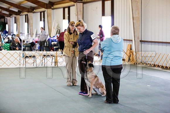 _CA_0626-DFWLabNov2015-©JulienLambertphoto.com-HR3