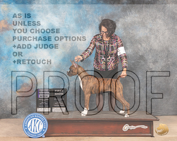 Boxer #8 Fri RWB Judge Joan Liebes-MMJ_3015-Addison2022-HR3