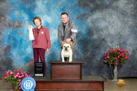 HOLLY N SCOTT WOMER ARK 2023