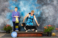 Basset Hound #9 Sun G3 Judge Christie Martinez