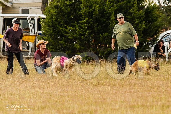 _MJ_5027-AfgBeltonOct2014-HR3