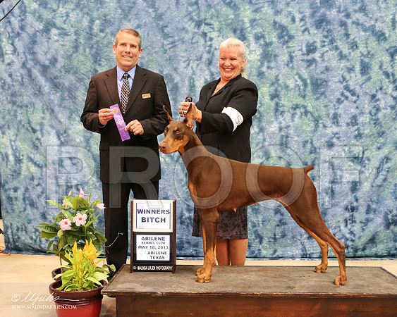 dobe-7599-AbiMay13HR