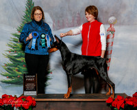 Doberman Pinscher #? sun S1 G1 Christi rhyne Judge Melissa Kidd