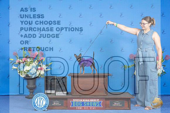 CUSTOM Russian Toy FRI__JP_9144_Houston_2024_HR3