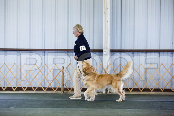 _CA_0547-DFWLabNov2015-©JulienLambertphoto.com-HR3