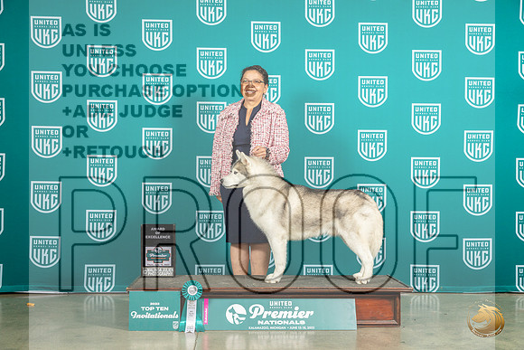Siberian Husky #1196 Thur Top10AOE Judge Renee StrongMJP_6165_Premier2023_HR3
