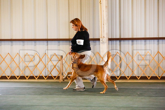 _CA_0659-DFWLabNov2015-©JulienLambertphoto.com-HR3