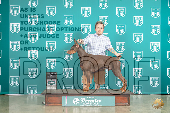 Doberman Pinscher #983 Sat COC Judge Ron HornMJP_5845_Premier2023_HR3
