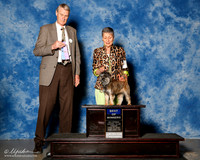 Affenpinshcer #5 Fri BOW Shoemaker Evelyn and Linda Ferris Judge Jon Cole
