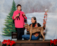 Plot Hound #? sun NC Conia Yearwood