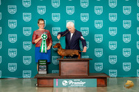 Dachshund #899 Fri G3 Judge Felicity Trammell