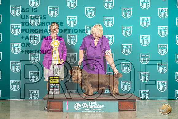 Sussex Spaniel #216 Sun G4 Judge Felicity TrammellMJP_6215_Premier2023_HR3