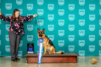 German Shepherd Dog #? Wed Parade of Champions