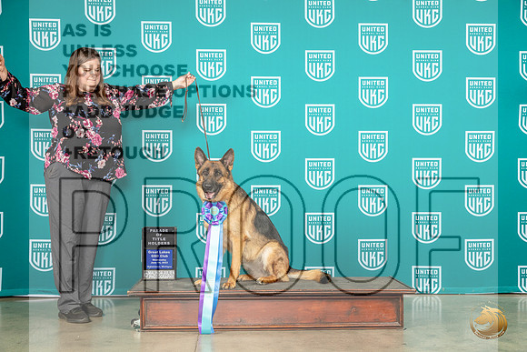 German Shepherd Dog #? Wed Parade of ChampionsMJP_3454_Premier2023_HR3
