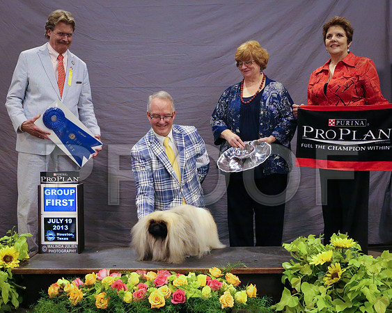 Peke-4941-HstnJ13HR