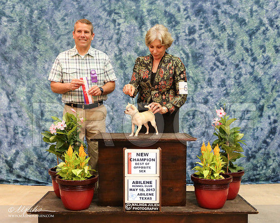 ChiS-4281-AbiMay13HR