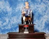 Boston Terrier #6 Sun BOS Vogler Gabrielle Agent Paige McCarver