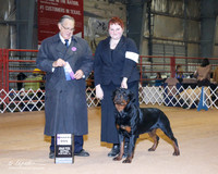 Rottweiler #7 Sat