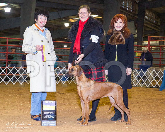 _RH_8887-GlenRoseJan2015-HR3