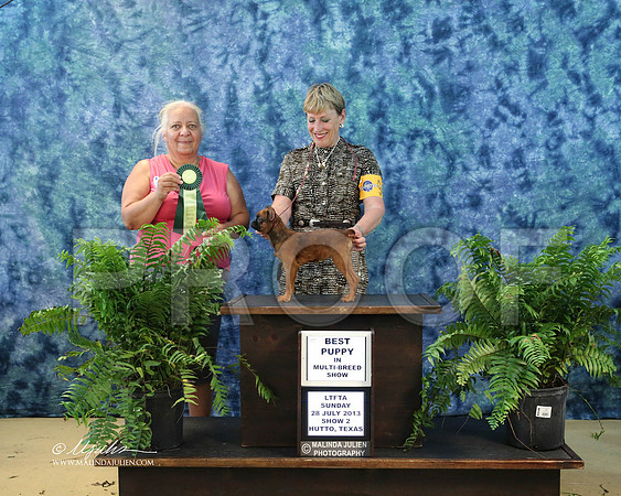 Brus-0145-HuttoJul13