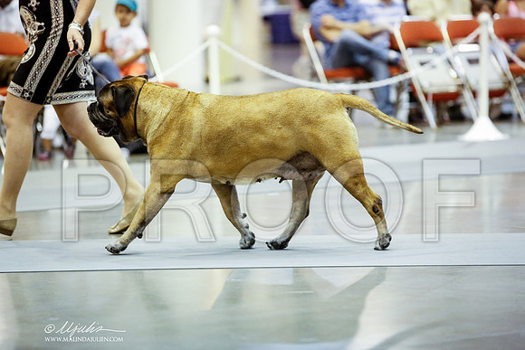 _JN_9089-DalJul2014-HR3