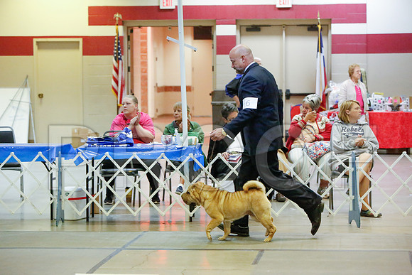 _JJ_4782-AmarilloSept2014-HR3