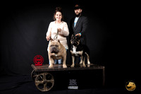 American Bully #26 Wagner
