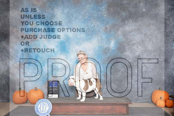 Bulldog #7 Sat WDBOW Judge Danelle Brown__JP_8584_Humble_2024_HR3