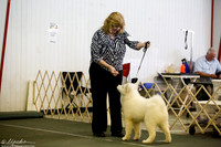 Samoyed Ring