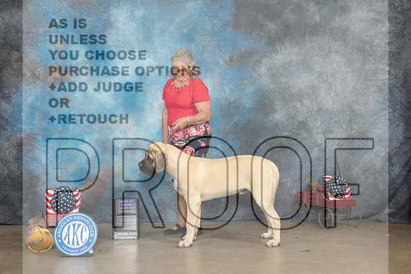Mastiff #5 Thur BOBBOWWB Judge Jacqueline L Stacy_MJ_5379_ARK2023_HR3