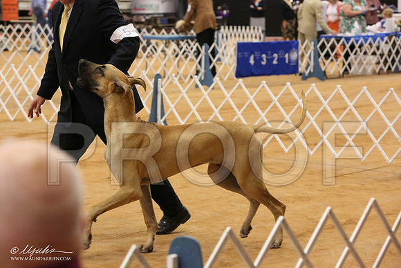Dane-8440-Tex2013 HR3