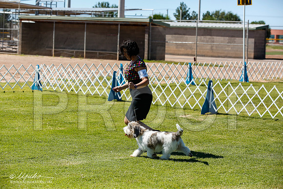 _JN_6888-AlamogordoOct2014-HR3