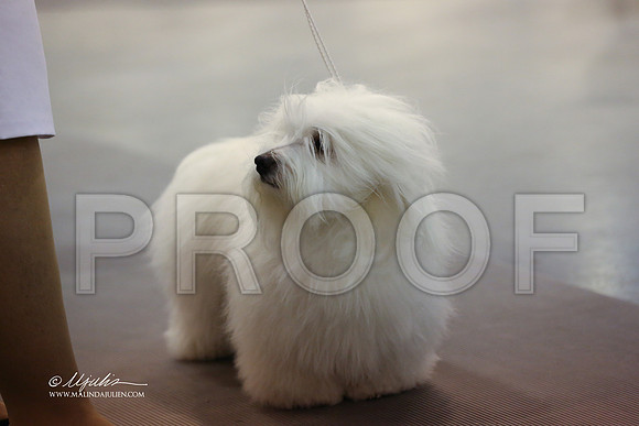 coton-5250-HR