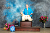 Cocker Spaniel #15 Thurs BOWM Judge Dale Martensen