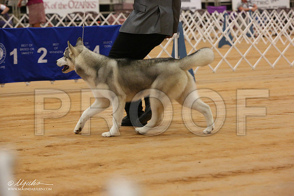 Husk-1486-Tex2013 HR3