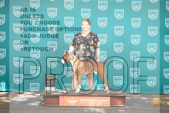 Boxer #109 Sun BOB G3 Judge Sharron Griffon__JP_1748_Longview WA_2024_HR3
