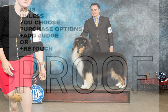 Collie Rough Fri _MJ_6075_ARK2023_HR3