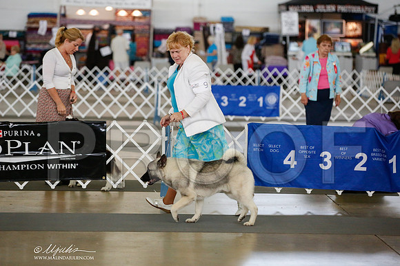 _JJ_5129-DallasJul2014-HR3