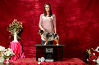 Toy Aussie Sat S2 BOB Monica Hollingsworth