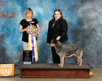 Ann Bridges  UKC Longview May 2023
