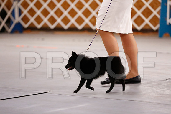 _RH_6819-CarlrolltonSept2014-HR3
