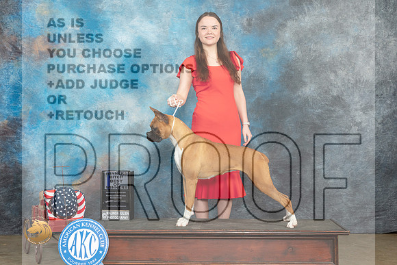 Boxer #8 Fri BOW Judge Jacqueline L Stacy_MJ_5858_ARK2023_HR3