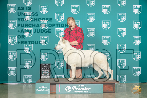 White Shepherd #674 Thurs Judge David KitterageMJP_4151_Premier2023_HR3