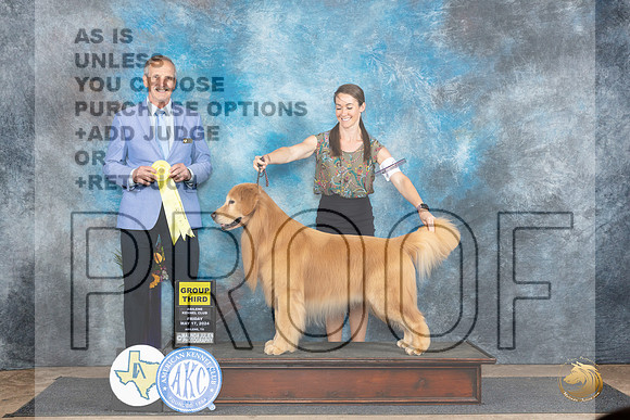 Golden Retriever #9 Fri G3 Judge Rick Gschwender__JP_9378_Abilene_2024_HR3