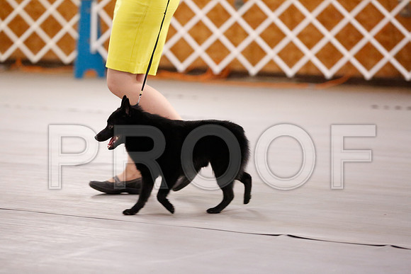 _RH_6377-CarlrolltonSept2014-HR3